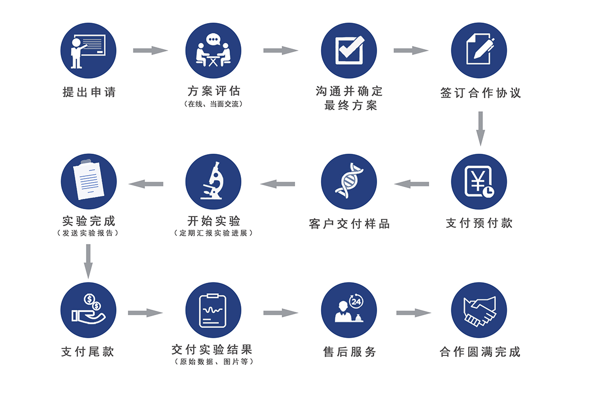 瑞果科技服務(wù)流程